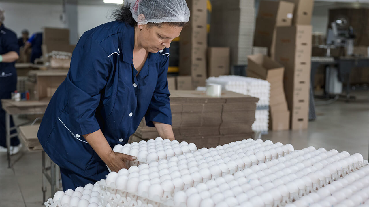 Сельхозорганизации Саратовской области наращивают объемы производства продукции животноводства