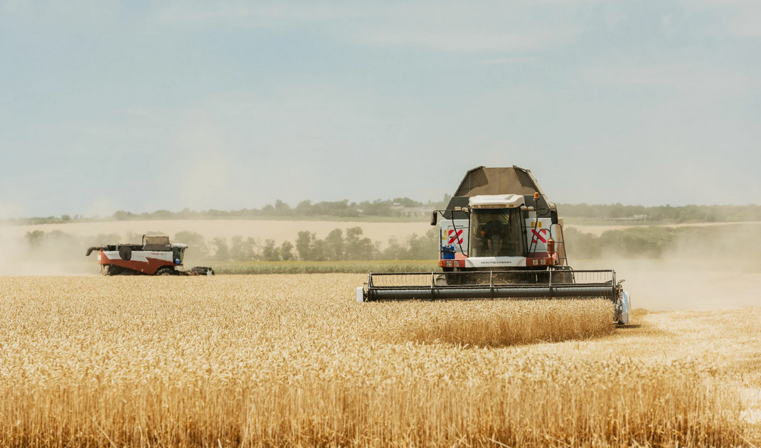 К уборке зерновых культур приступили хозяйства 10 муниципальных районов Саратовской области