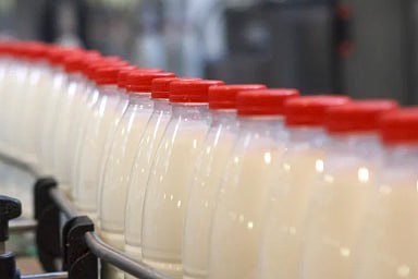 Объём реализации молока в сельхозорганизациях вырос на 5,2%