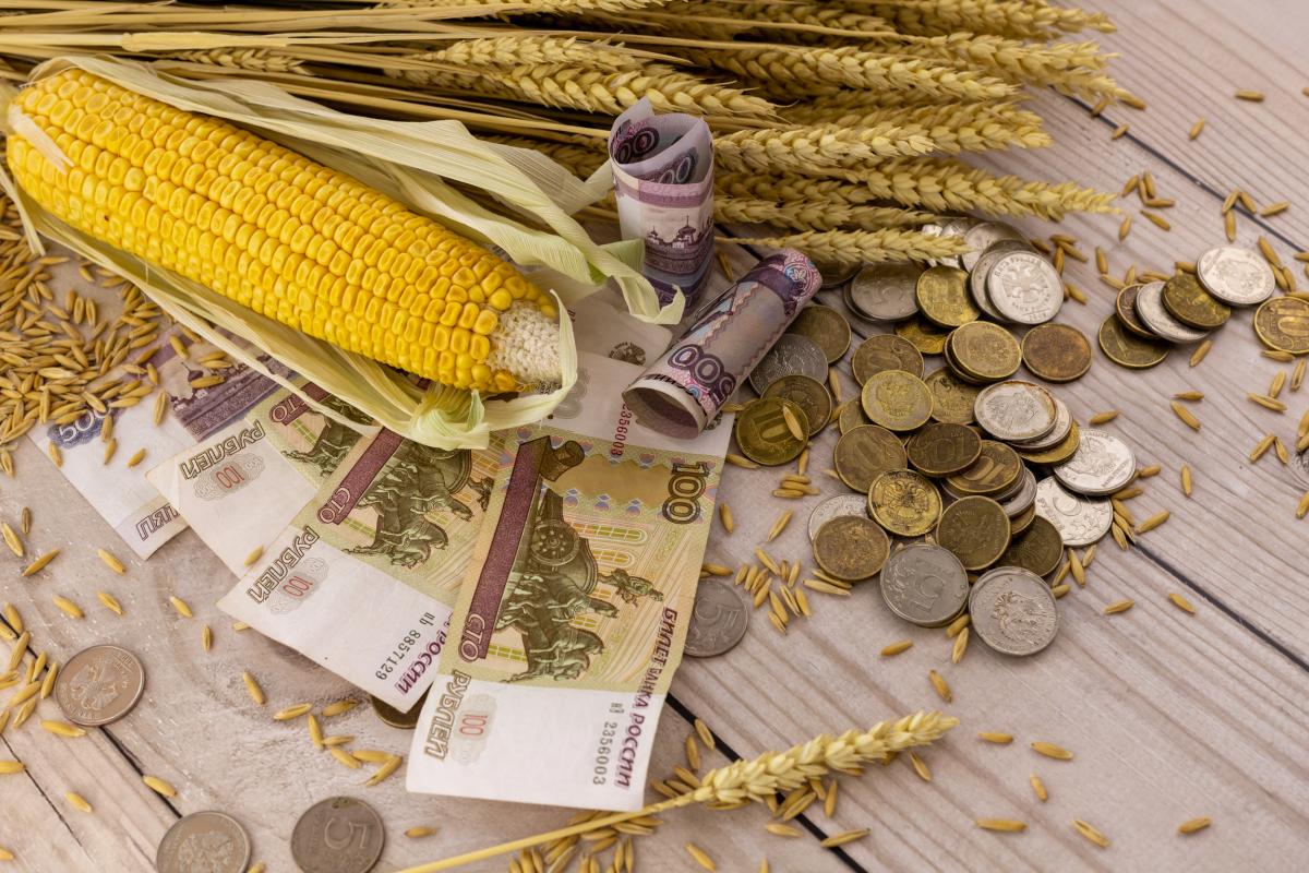 Россия активно развивает азиатско-африканские экспортные направления в АПК