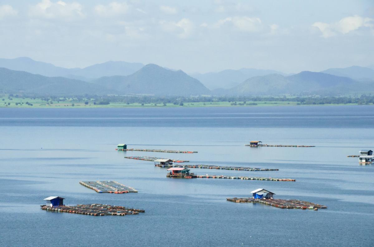 В РФ предприниматели, создающие питомники лососевых рыб, получат господдержку