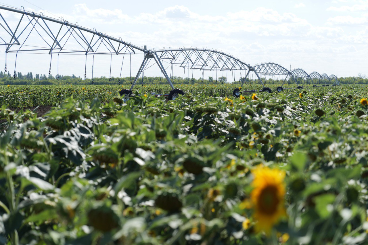 Минсельхоз откроет прием заявок на получение субсидий по проектам мелиорации в 2026 году