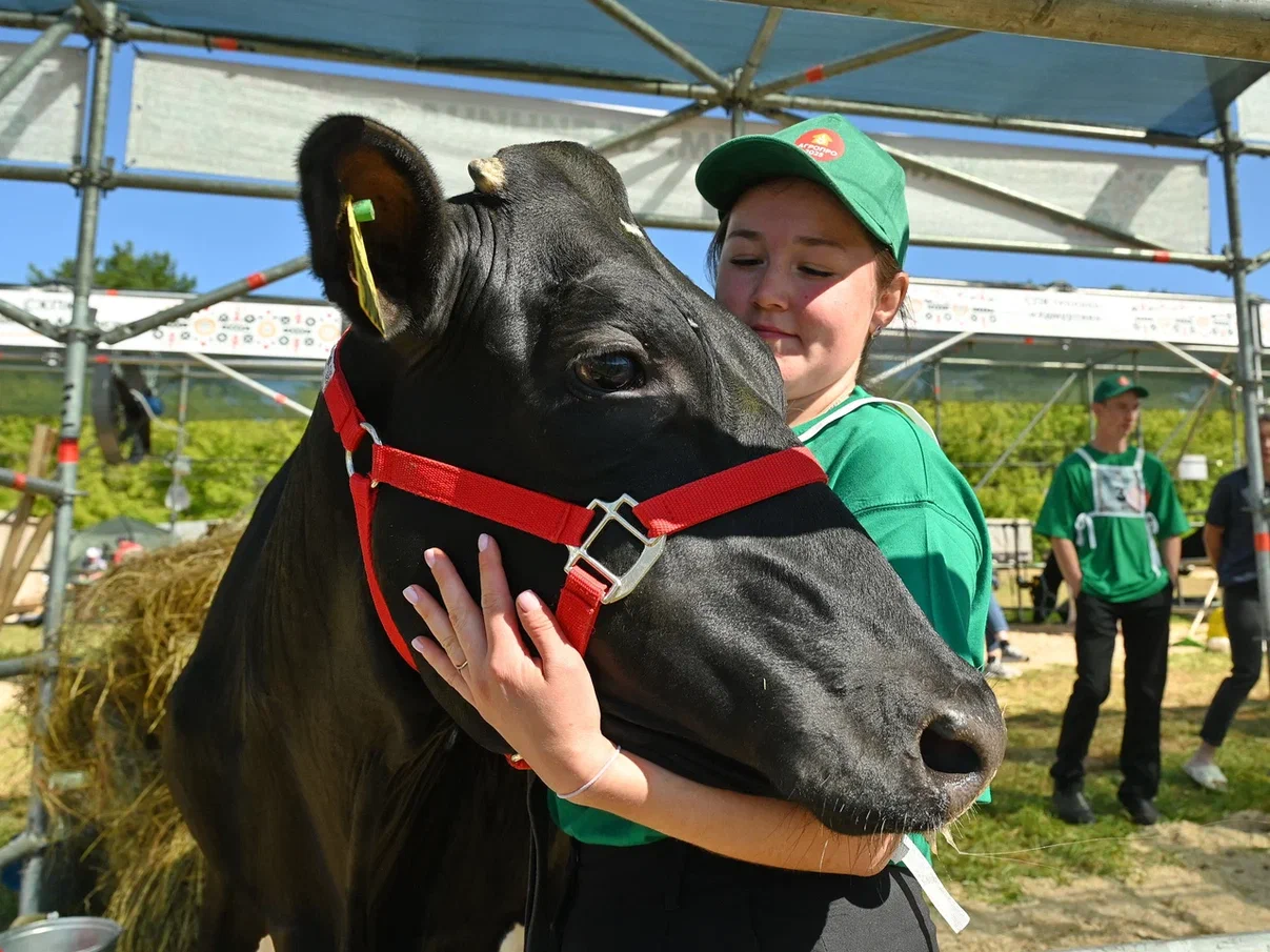 В Удмуртии прошел Межрегиональный сельскохозяйственный фестиваль АгроПро 2025