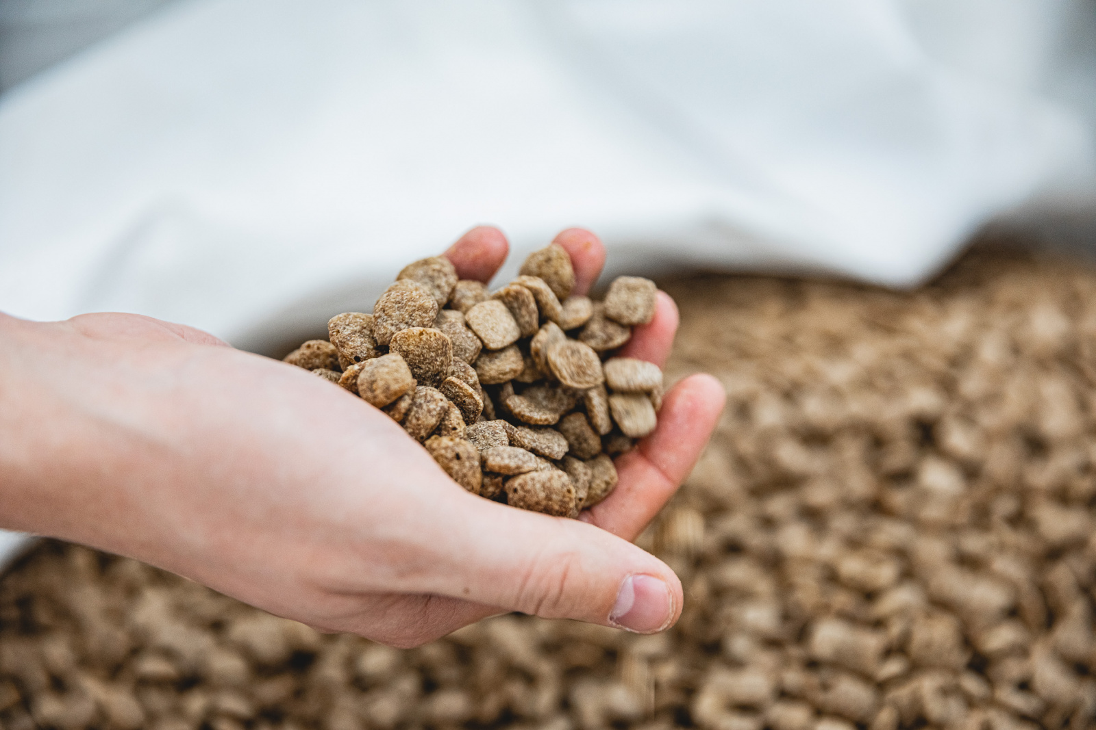 Производство кормов для домашних животных запущено в Липецкой области