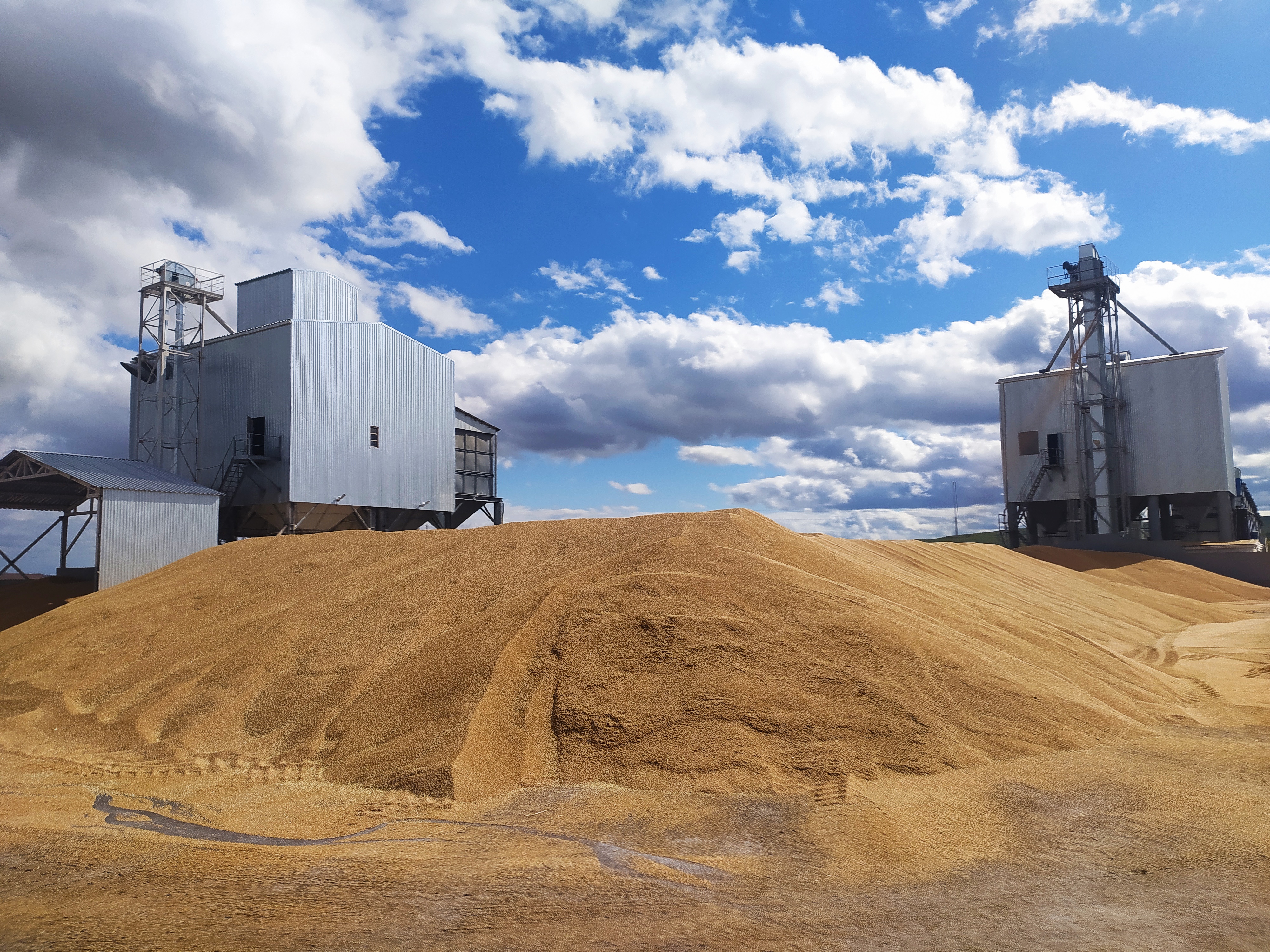 Аграрии Красноярского края преодолели рубеж в 3 млн тонн зерна