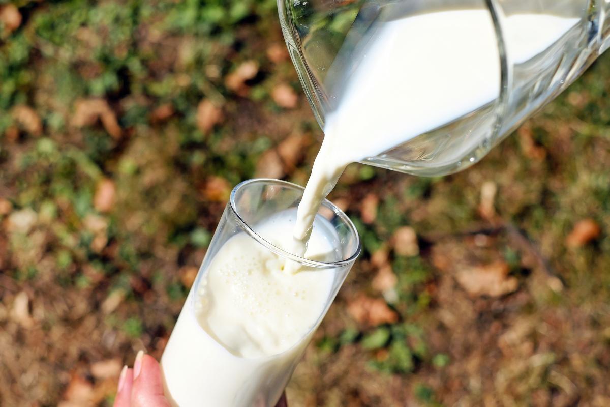 «Эко-Нива» сохранила лидерство по объему производства молока-сырья в РФ