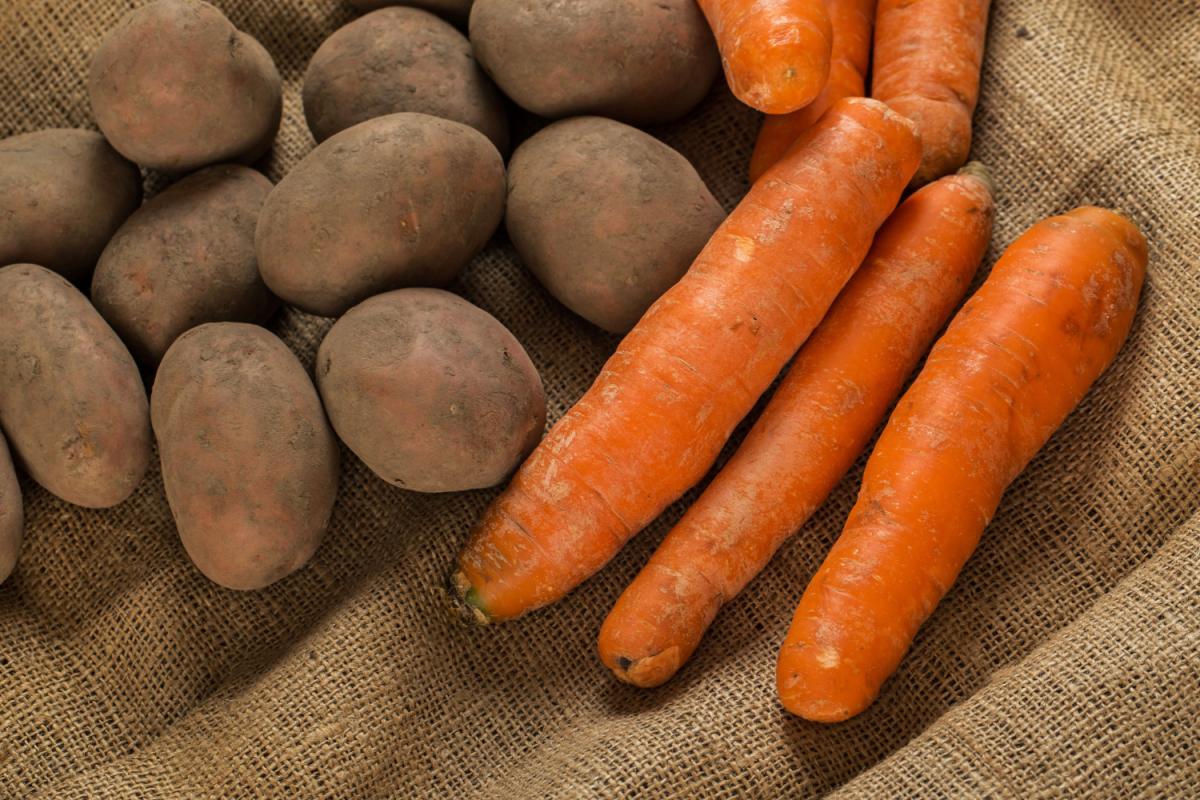 В России определили порядок беспошлинного ввоза картофеля, моркови и яблок