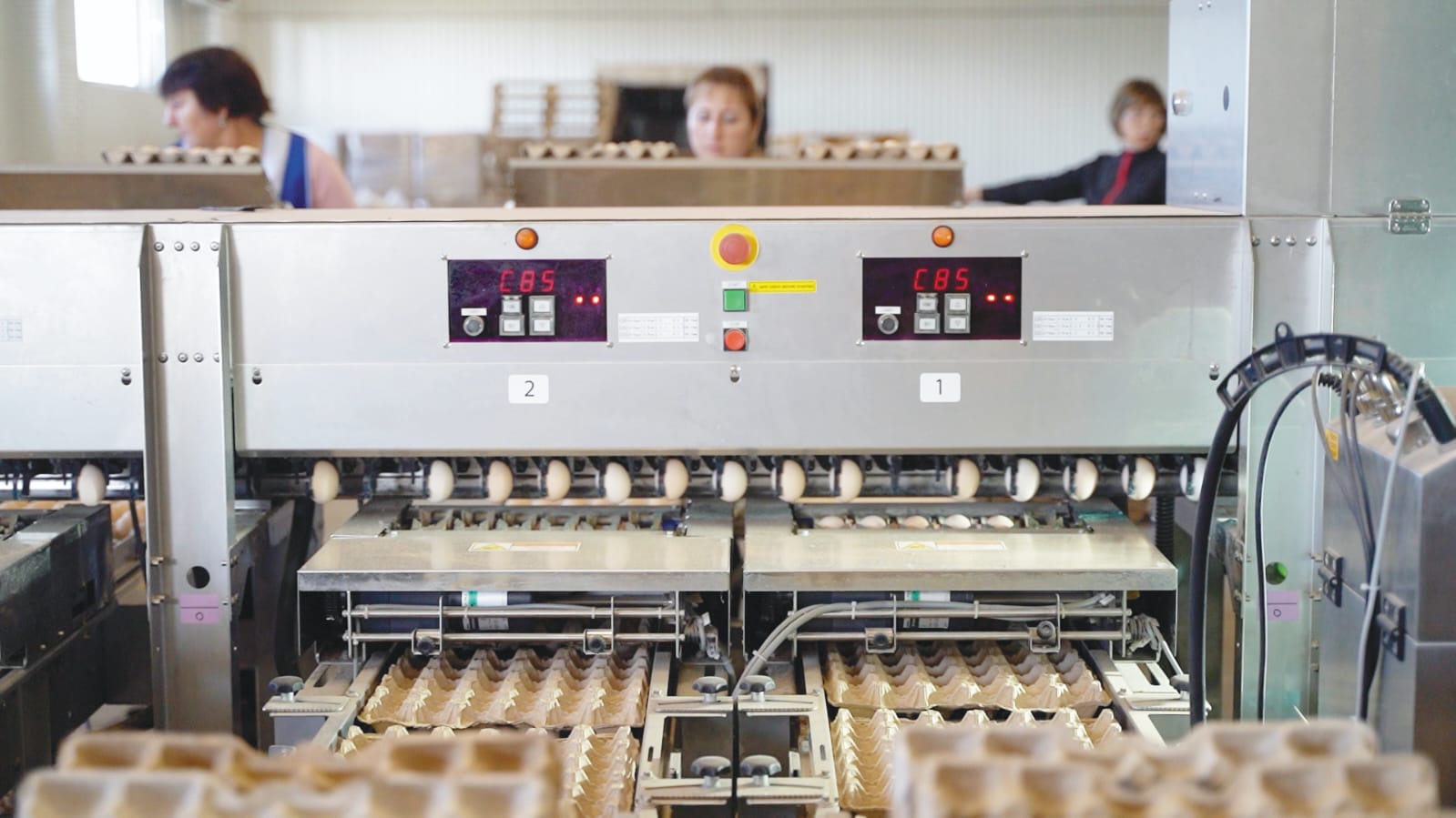 В Башкортостане за 5 лет реализованы 12 инвестпроектов по переработке сельхозпродукции