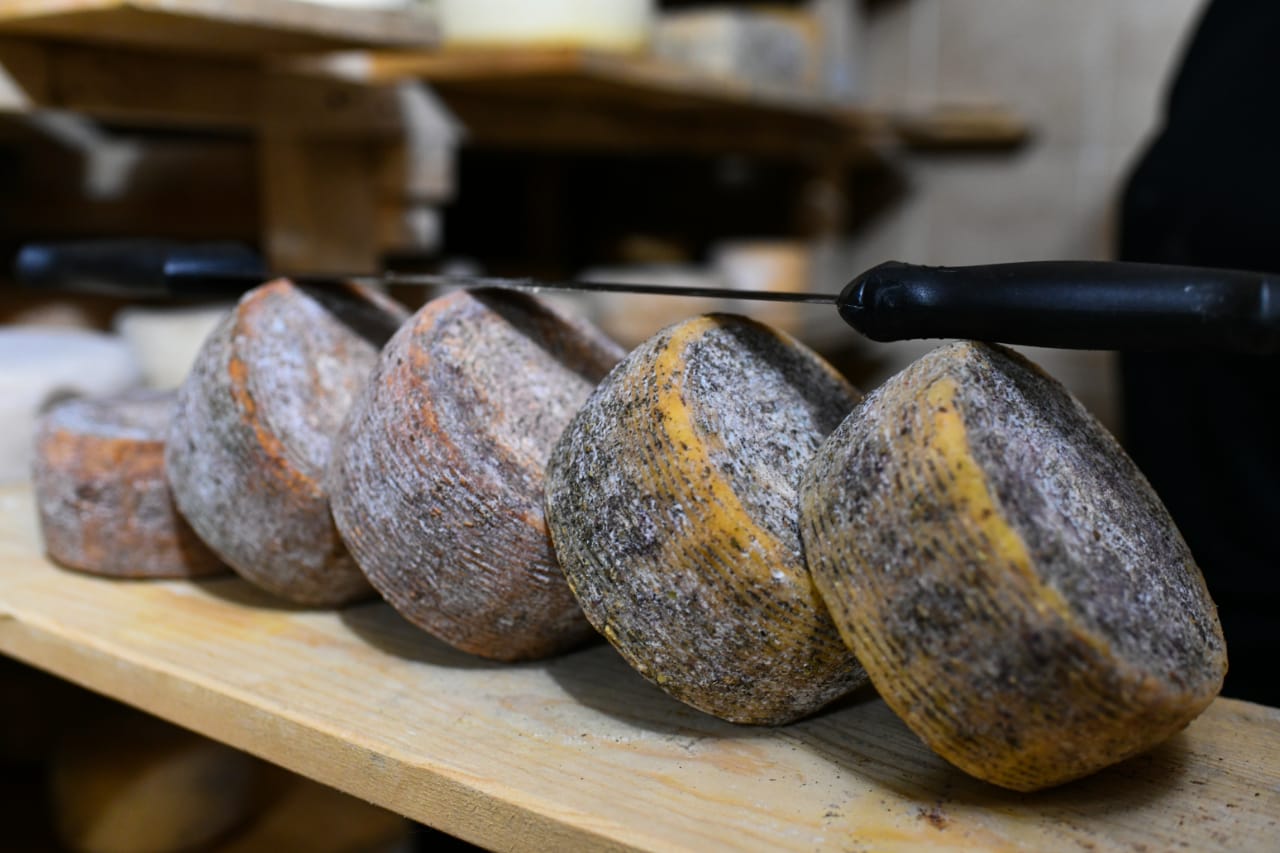 Новые проекты реализуют в АПК Ярославской области благодаря господдержке