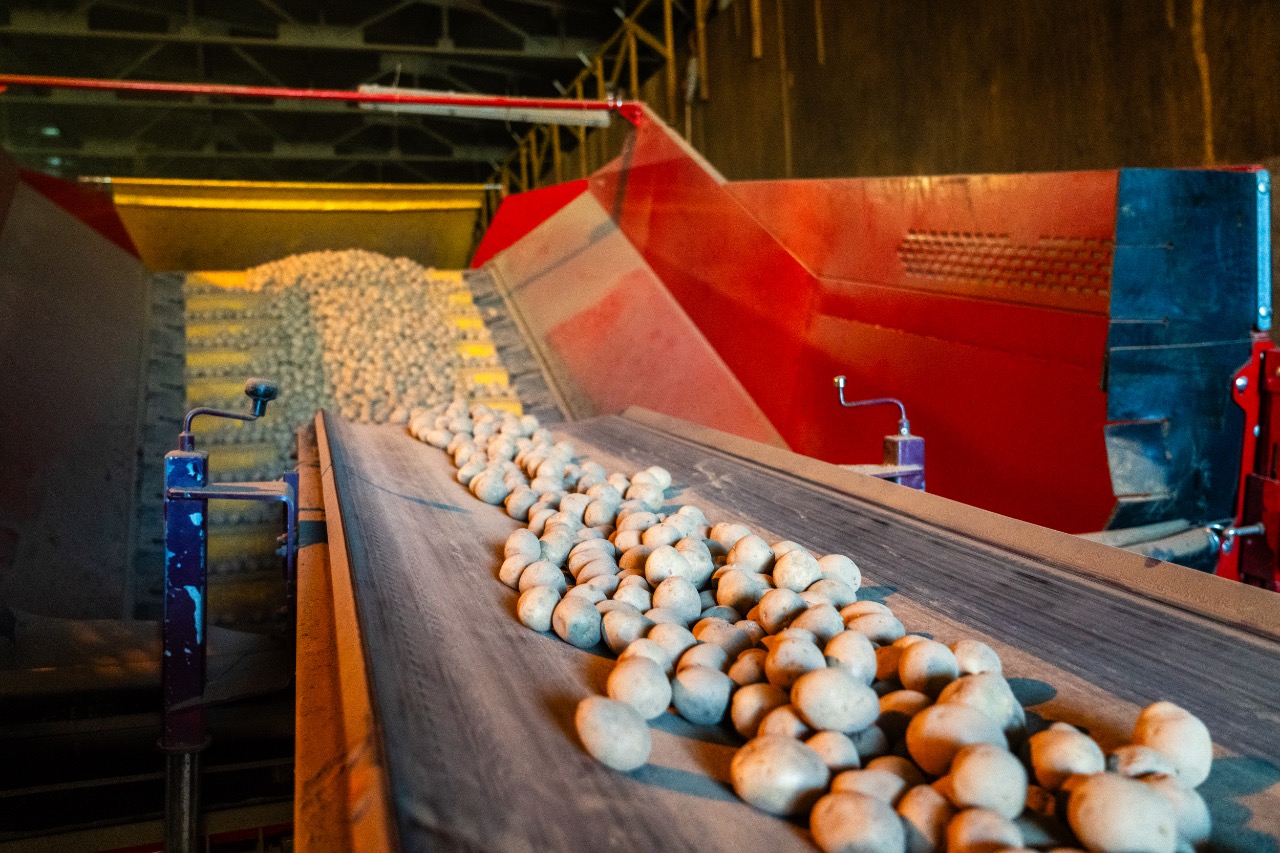 В Подмосковье завершили строительство овощехранилища мощностью 2 тысячи тонн