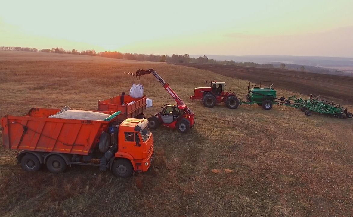 В Псковской области площадь ярового сева составит 52,9 тыс. га