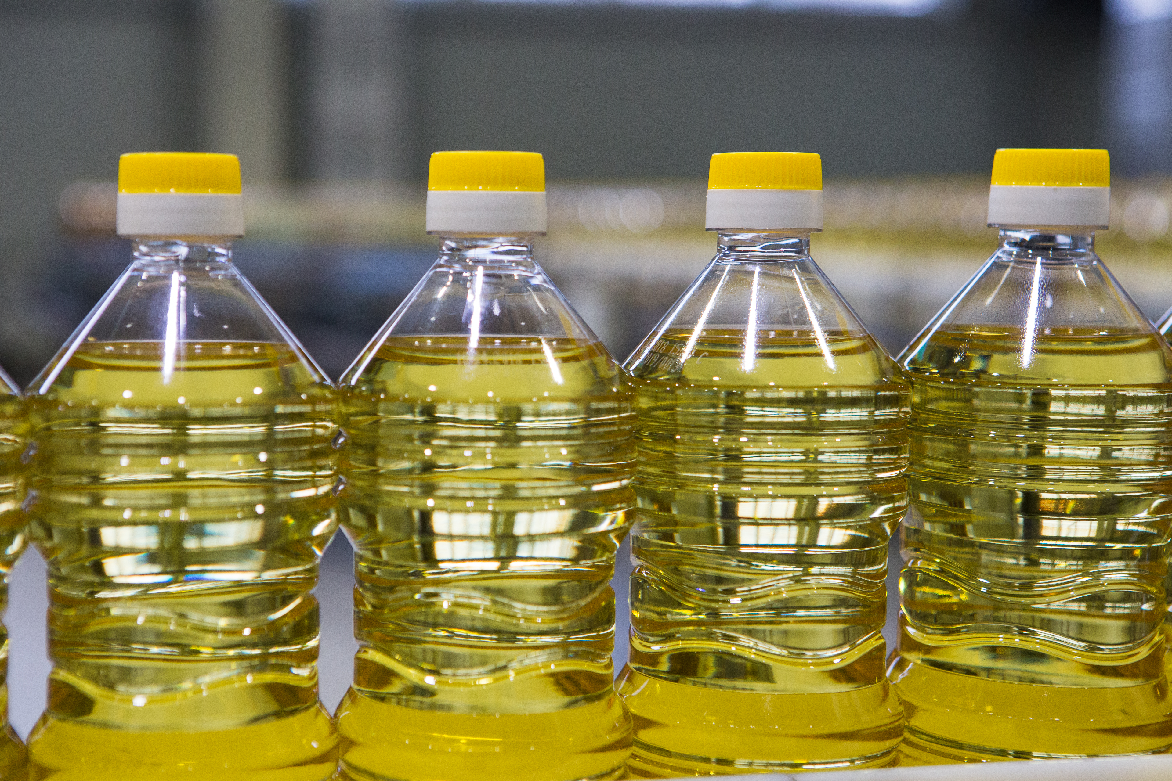 Тамбовская область в 3 раза увеличила экспорт подсолнечного масла