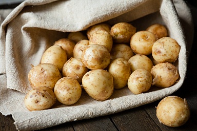 В Хабаровском крае завершается посадка картофеля