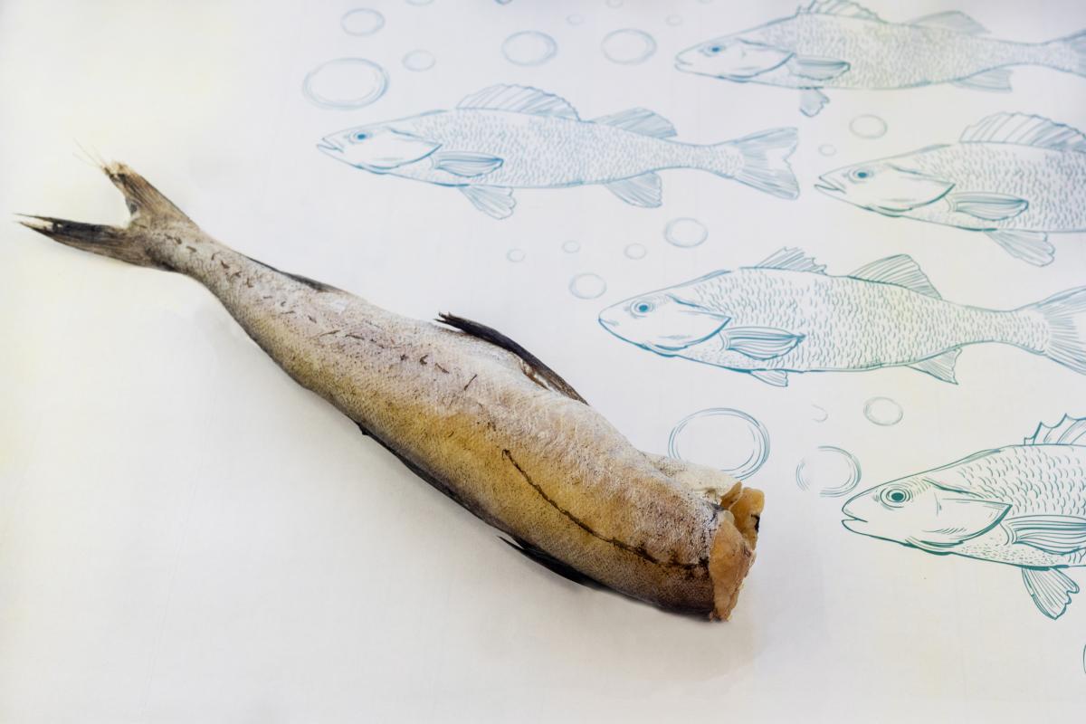 Россия сохраняет мировое лидерство в добыче минтая — ассоциация