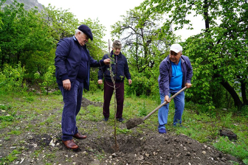 В Гумбетовском районе Дагестана провели приуроченную ко Дню Победы акцию