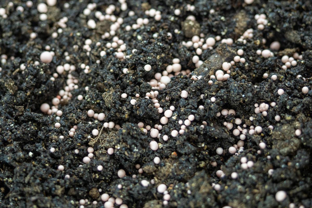 Потребность АПК РФ в минудобрениях на 2025 год закрыта уже на 50% — РАПУ