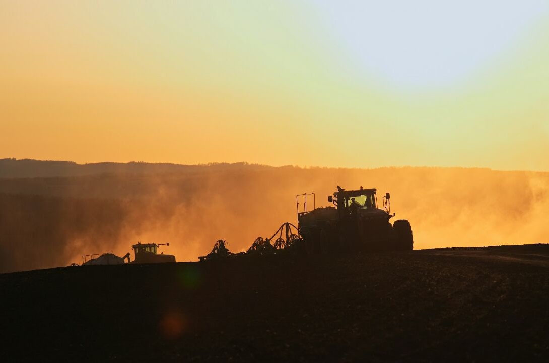 В Республике Татарстан яровыми зерновыми засеяно 1,8 млн га
