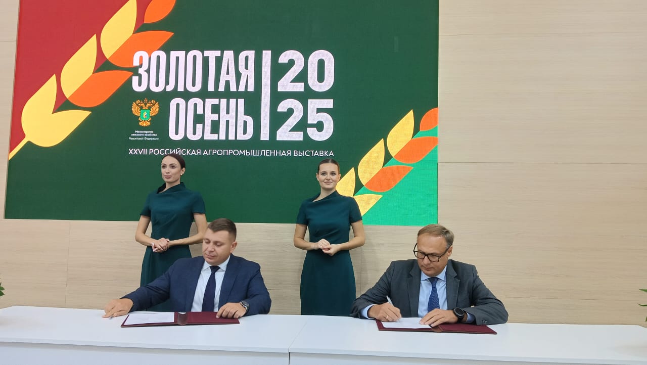 Золотая осень — 2025: Волгоградская область расширяет сотрудничество 