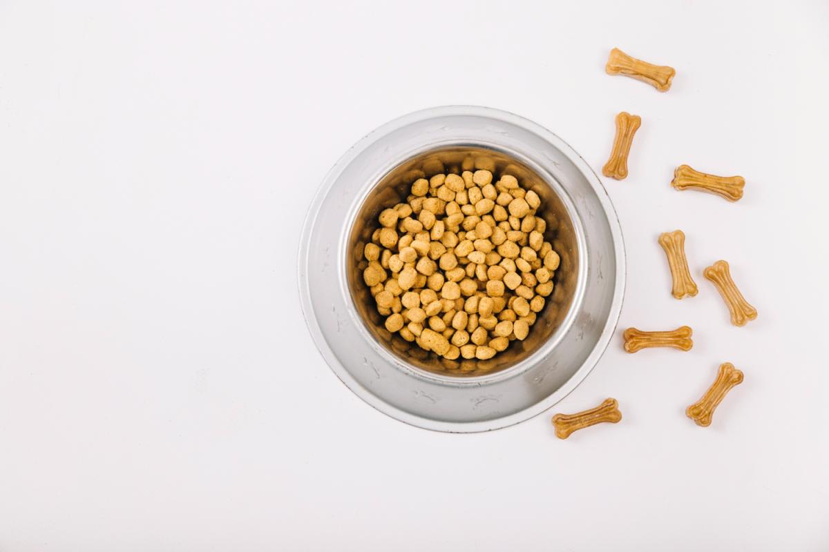 Число производителей кормов для домашних животных в РФ выросло в 1,7 раза