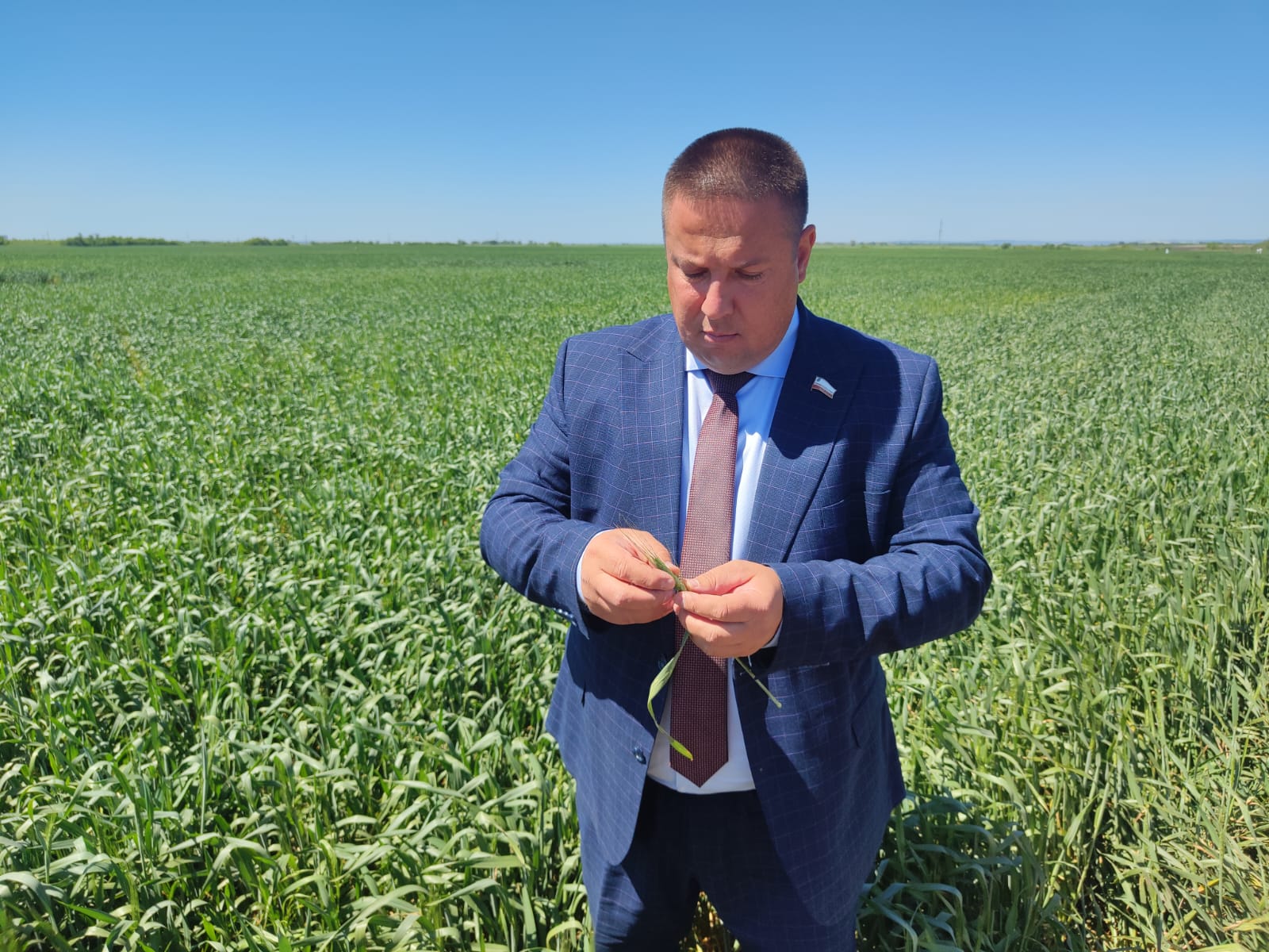 Роман Ковальский ознакомился с состоянием посевов озимых культур в Балаковском муниципальном районе Саратовской области 