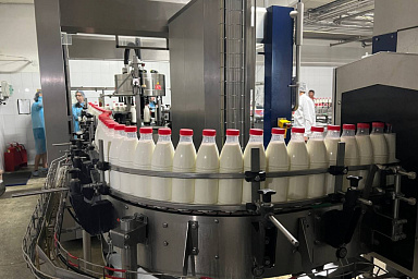 Объём реализации молока в сельхозорганизациях вырос на 5,2%