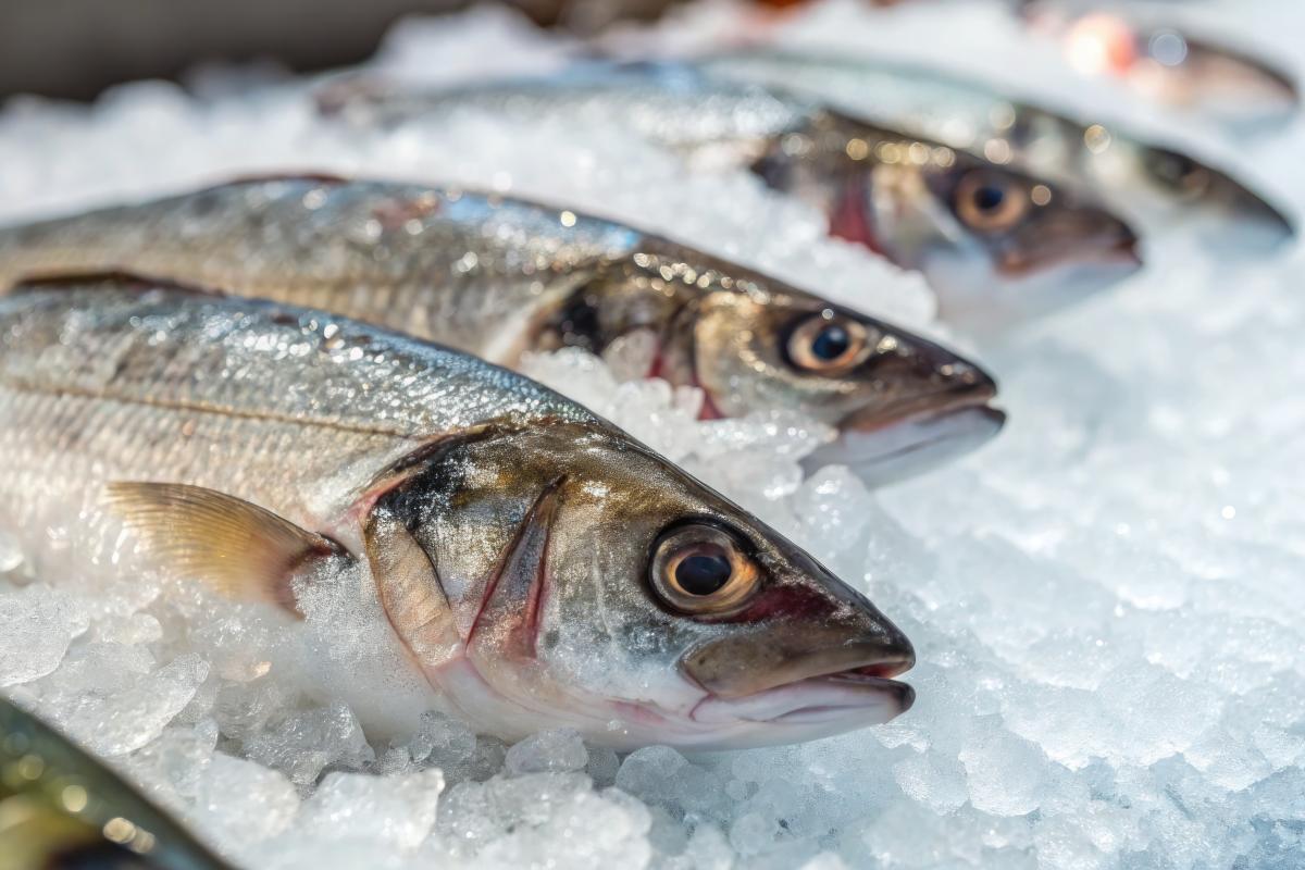 РЖД готовы наращивать перевозки рыбы с Дальнего Востока 