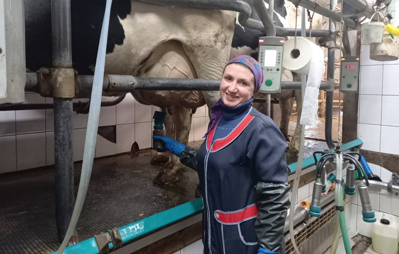 В Нижегородской области определили лучших специалистов машинного доения коров