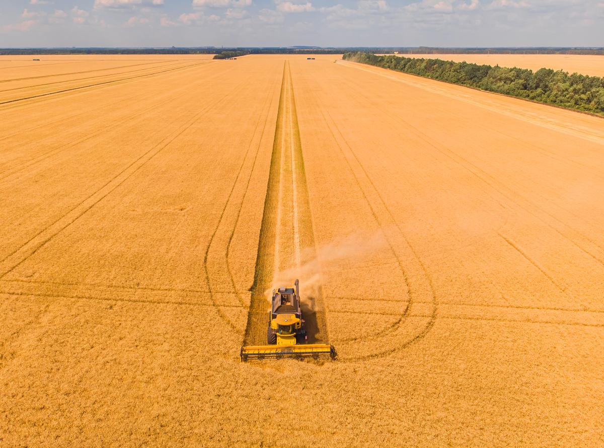 В Оренбургской области убрано 316,6 тыс. га зерновых и зернобобовых культур