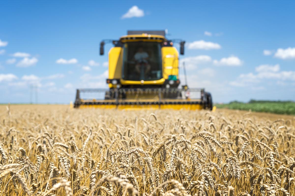 В Крыму завершилась уборка ранних зерновых и зернобобовых культур