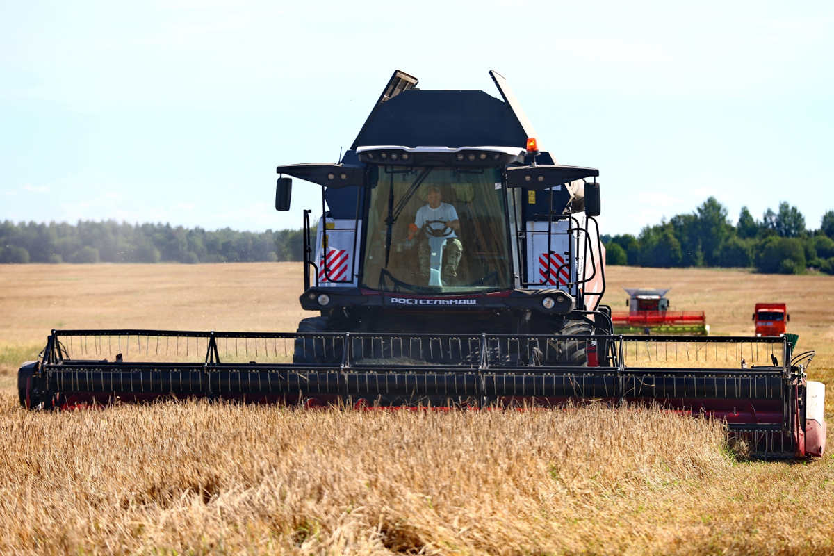 Вологодские аграрии успешно выполняют план по заготовке зерновых и кормовых культур, рапса и картофеля