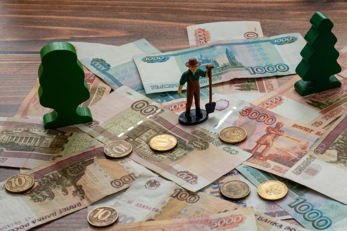 В проекты АПК Подмосковья в 2024 году вложат более 15 млрд руб.