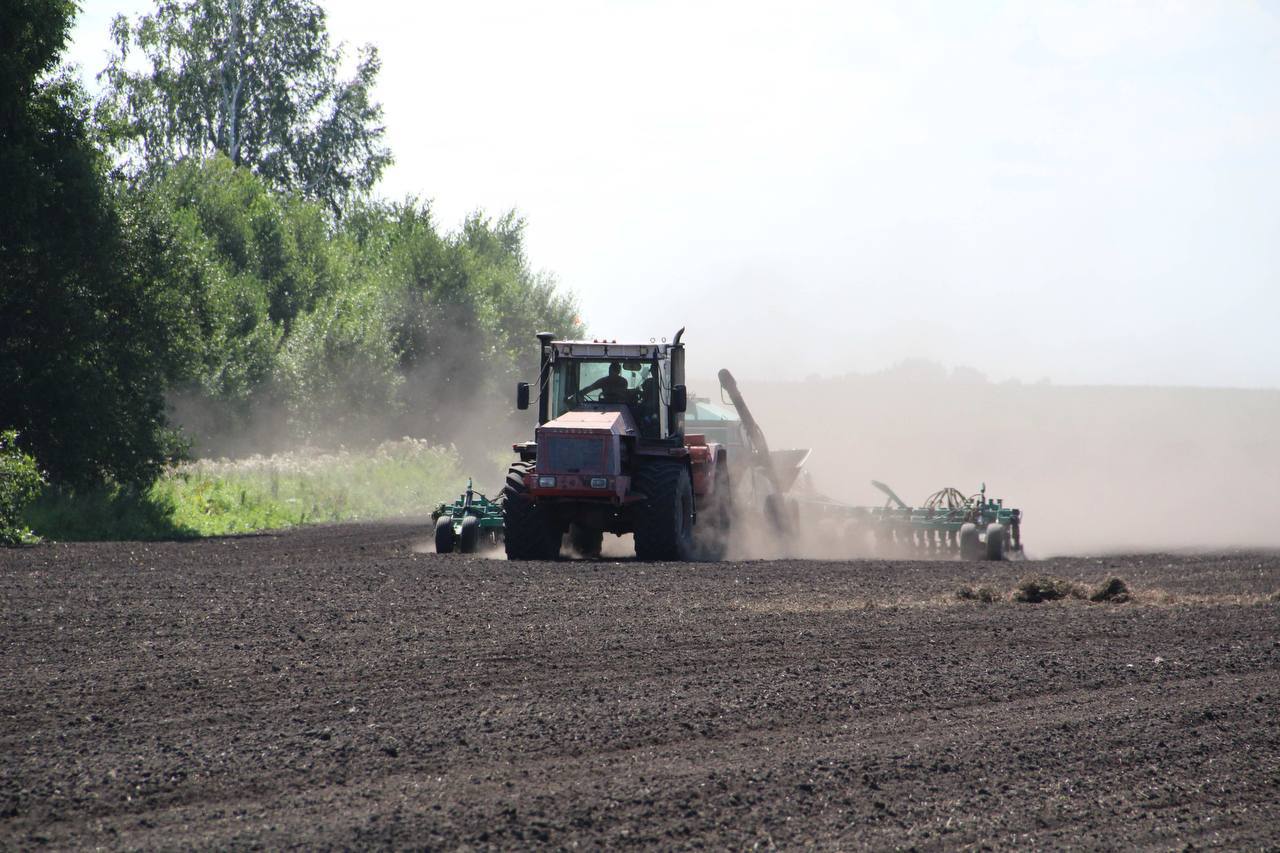 До 2030 года в Кузбассе введут в сельхозоборот все неиспользуемые земли