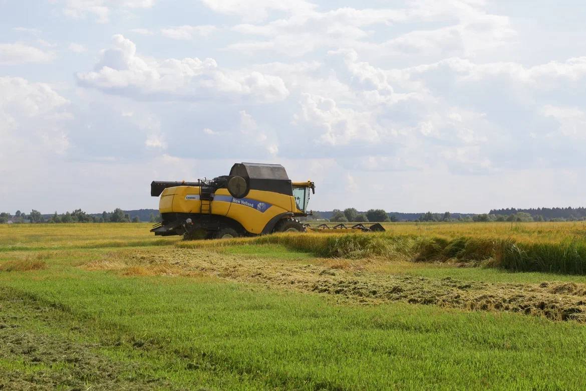 Еще больше земель сельхозназначения введут в оборот в Вологодской области в 2025 году