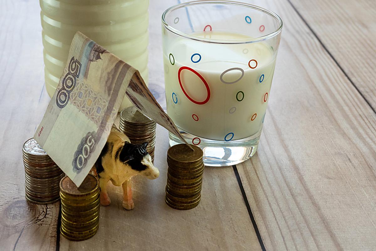 Московская область лидирует по вложениям в молочную отрасль