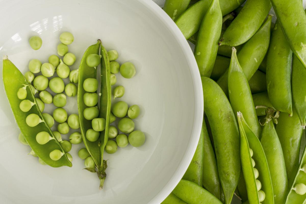 Консервные заводы Кабардино-Балкарии выпускают 60 млн усл. банок зеленого горошка