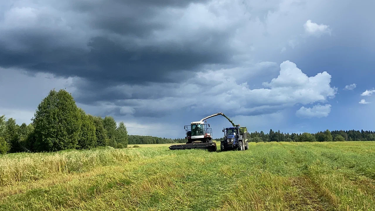 В Новгородской области обсудили стратегии успешной кормозаготовки