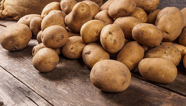 В Коми завершилась уборка картофеля