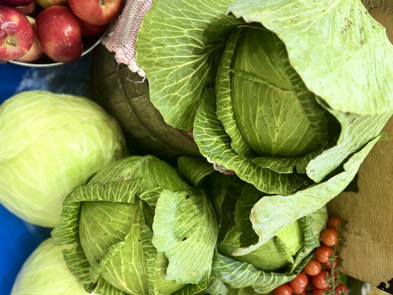 По итогам года Подмосковье вошло в ТОП-5 регионов по количеству производителей органической продукции