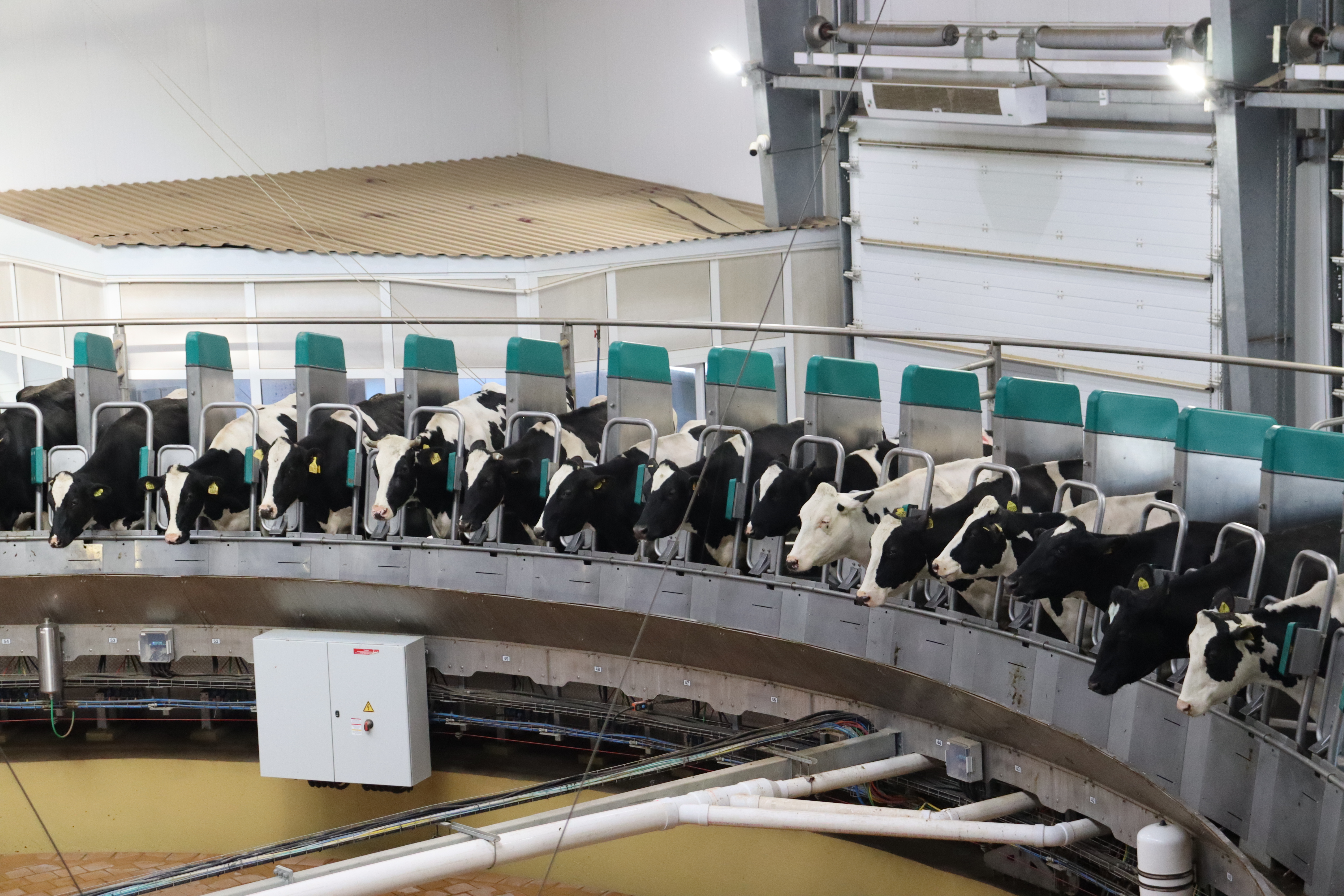 Сельхозтоваропроизводителям Красноярского края возместят затраты на обновление машинно-тракторного парка и оборудования