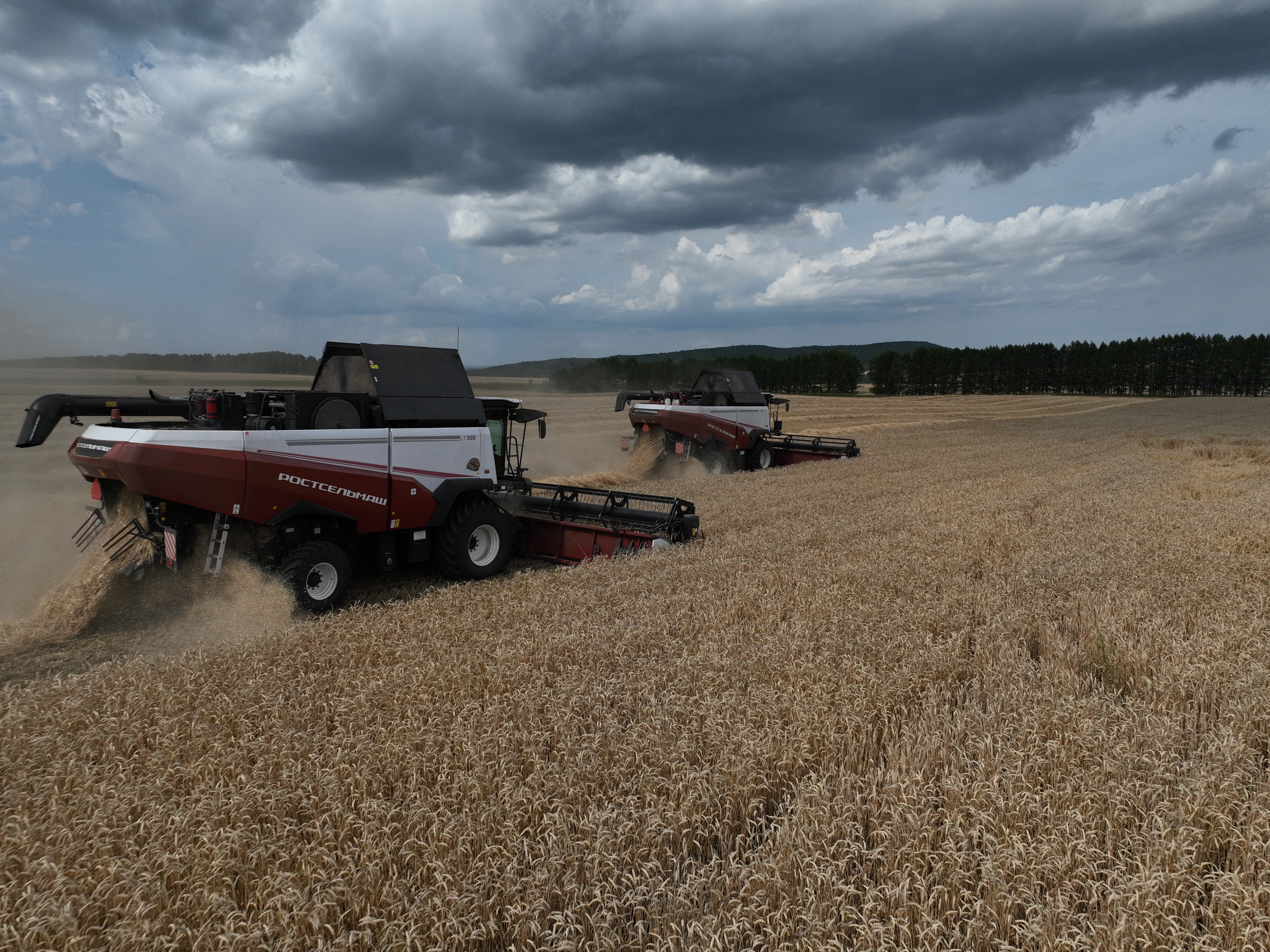 В Башкортостане намолочено 305 тысяч тонн зерна нового урожая