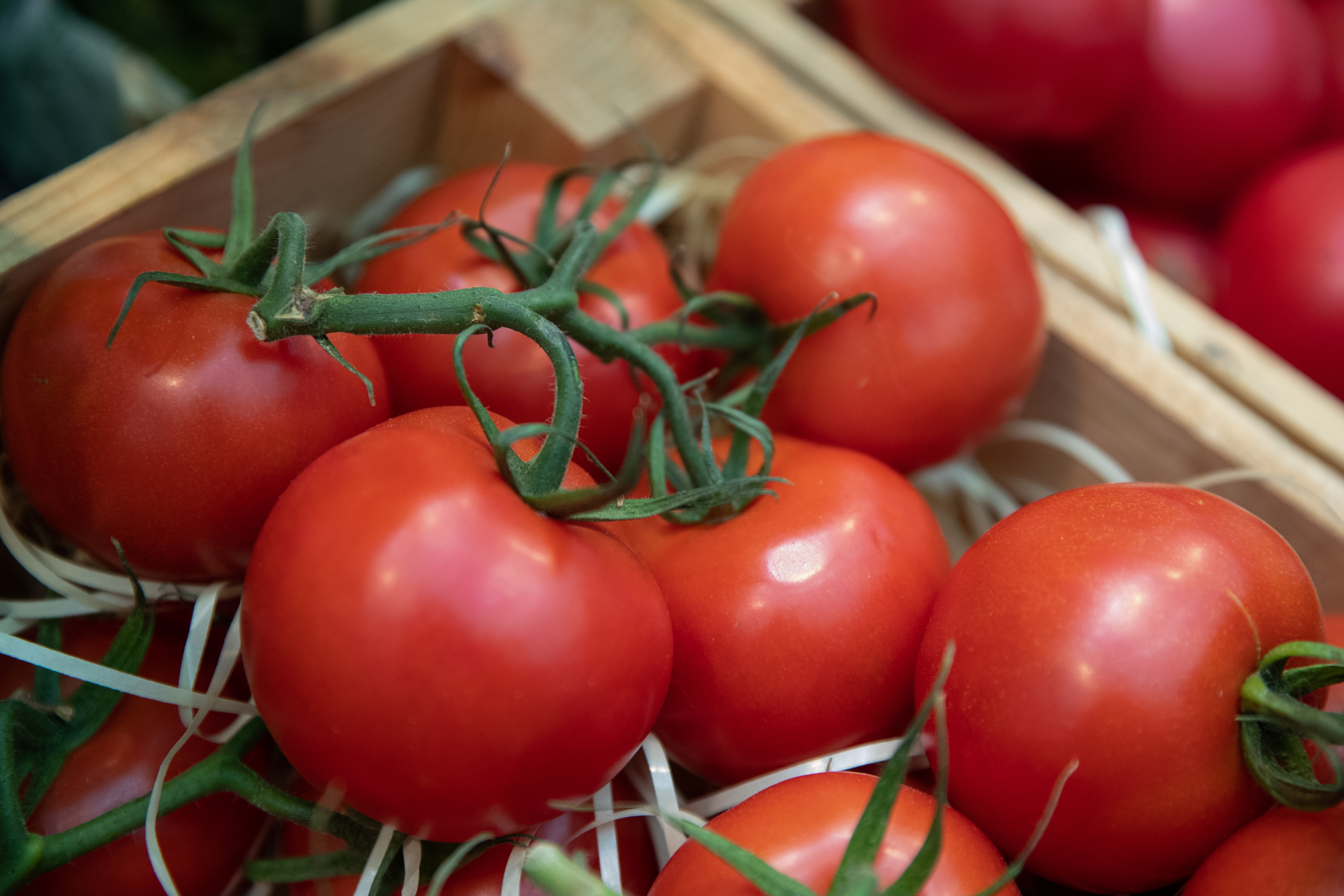 Сбор урожая томатов начался в Забайкалье