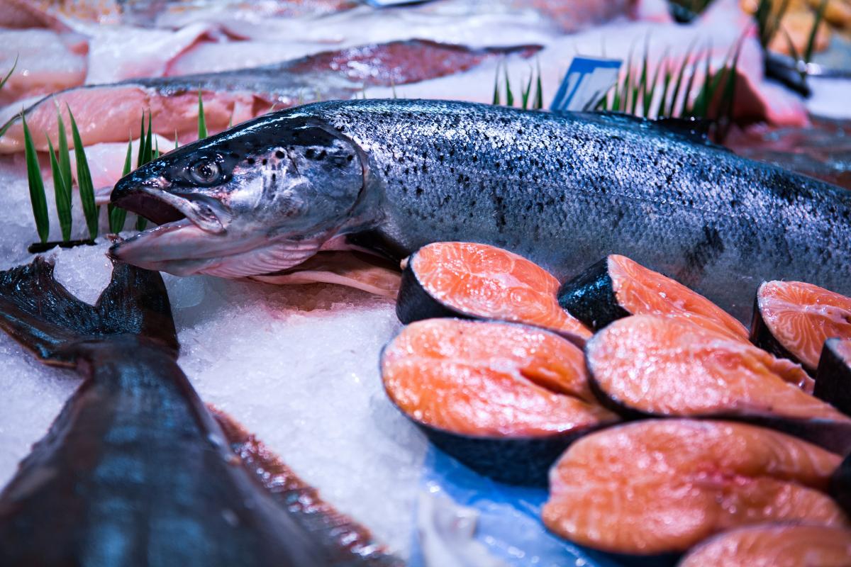 Росрыболовство повысило прогноз по вылову лососевых в 2025 году