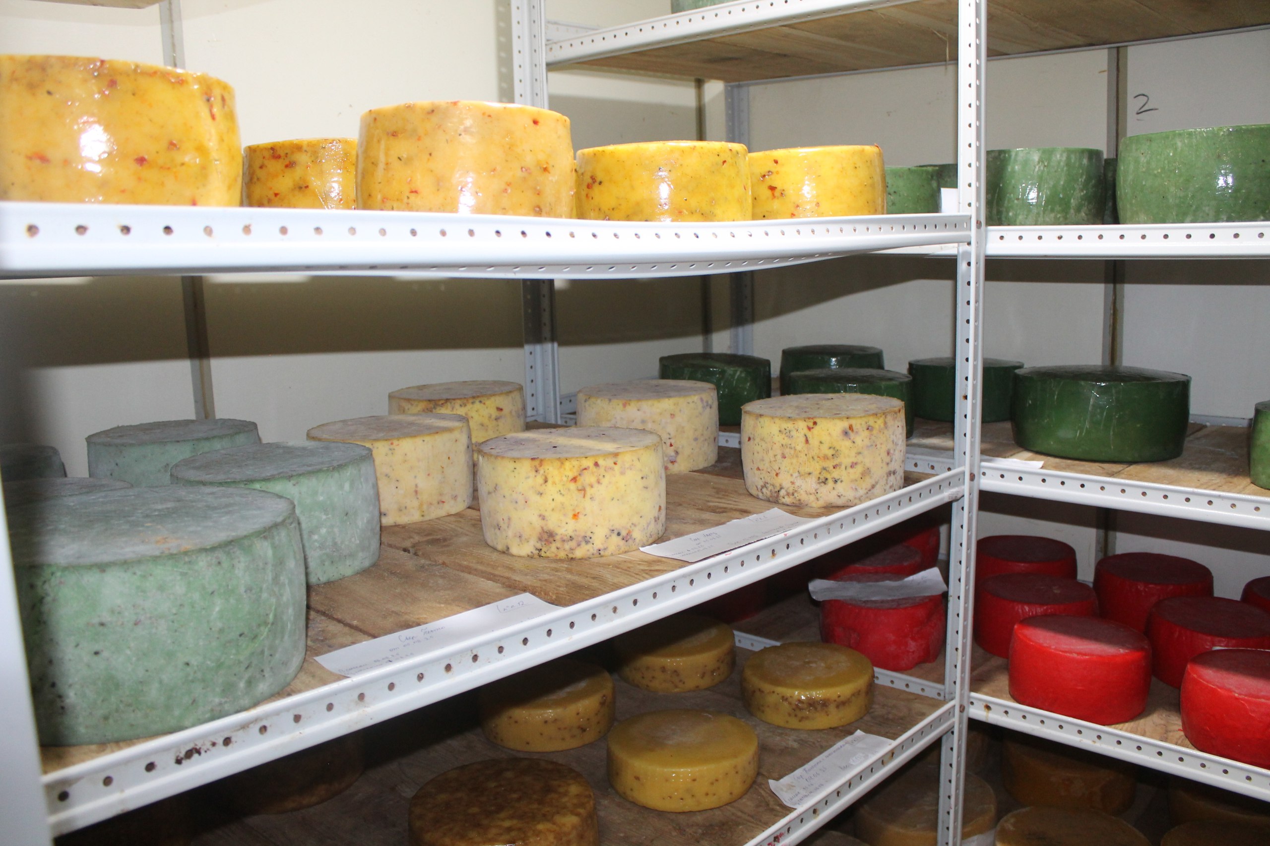 Более 53 млн рублей господдержки получат кузбасские сельхозкооперативы в 2025 году