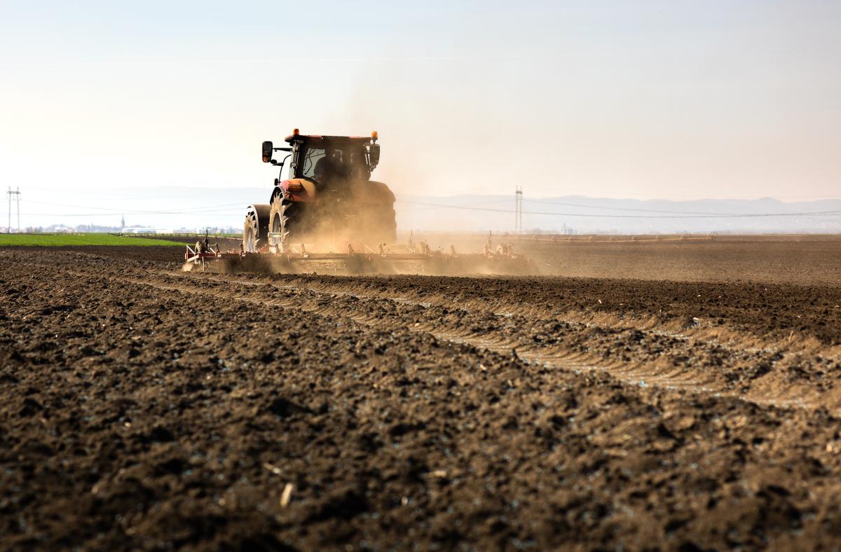 В Липецкой области сев яровых культур завершен