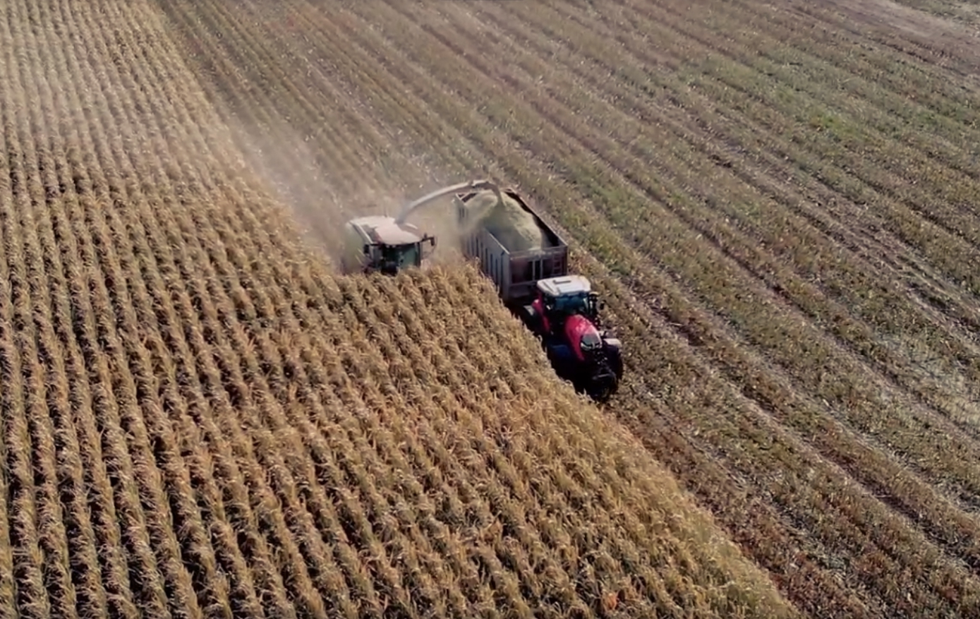 В Удмуртии убрано 76% площадей зерновых