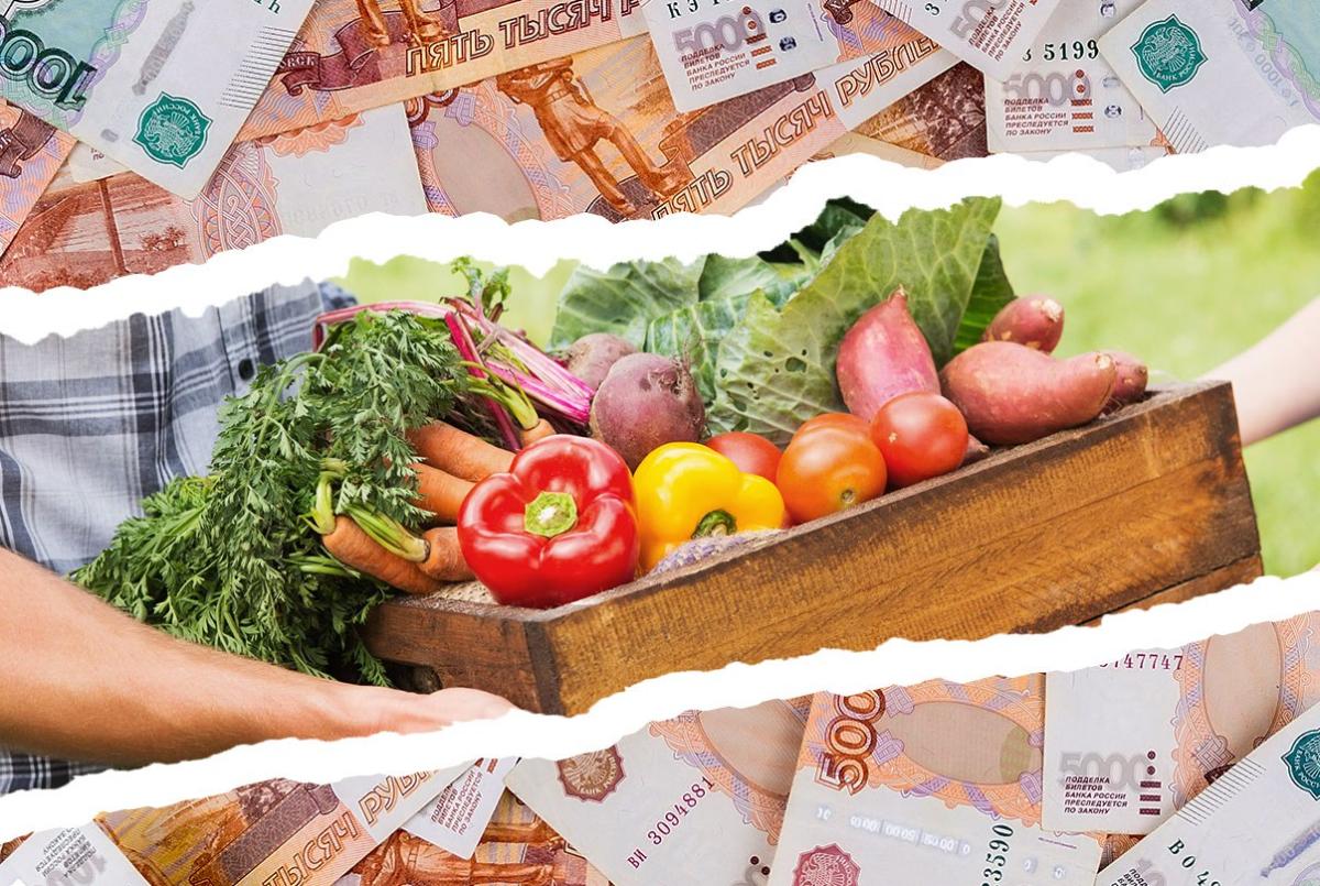 Заработная плата орловских аграриев выросла почти на 15%