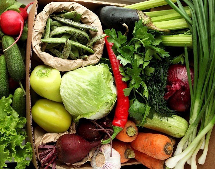 В Татарстане стартовал торговый фестиваль «Изобилие» в поддержку местных производителей