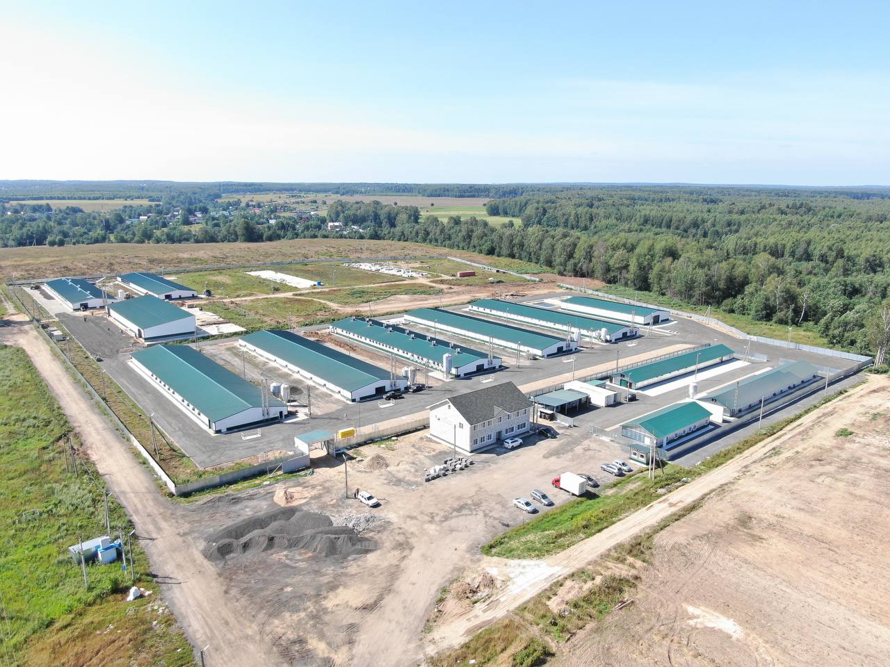 В Московской области открыт новый репродуктор яичных пород птицы для импортозамещения племенного материала