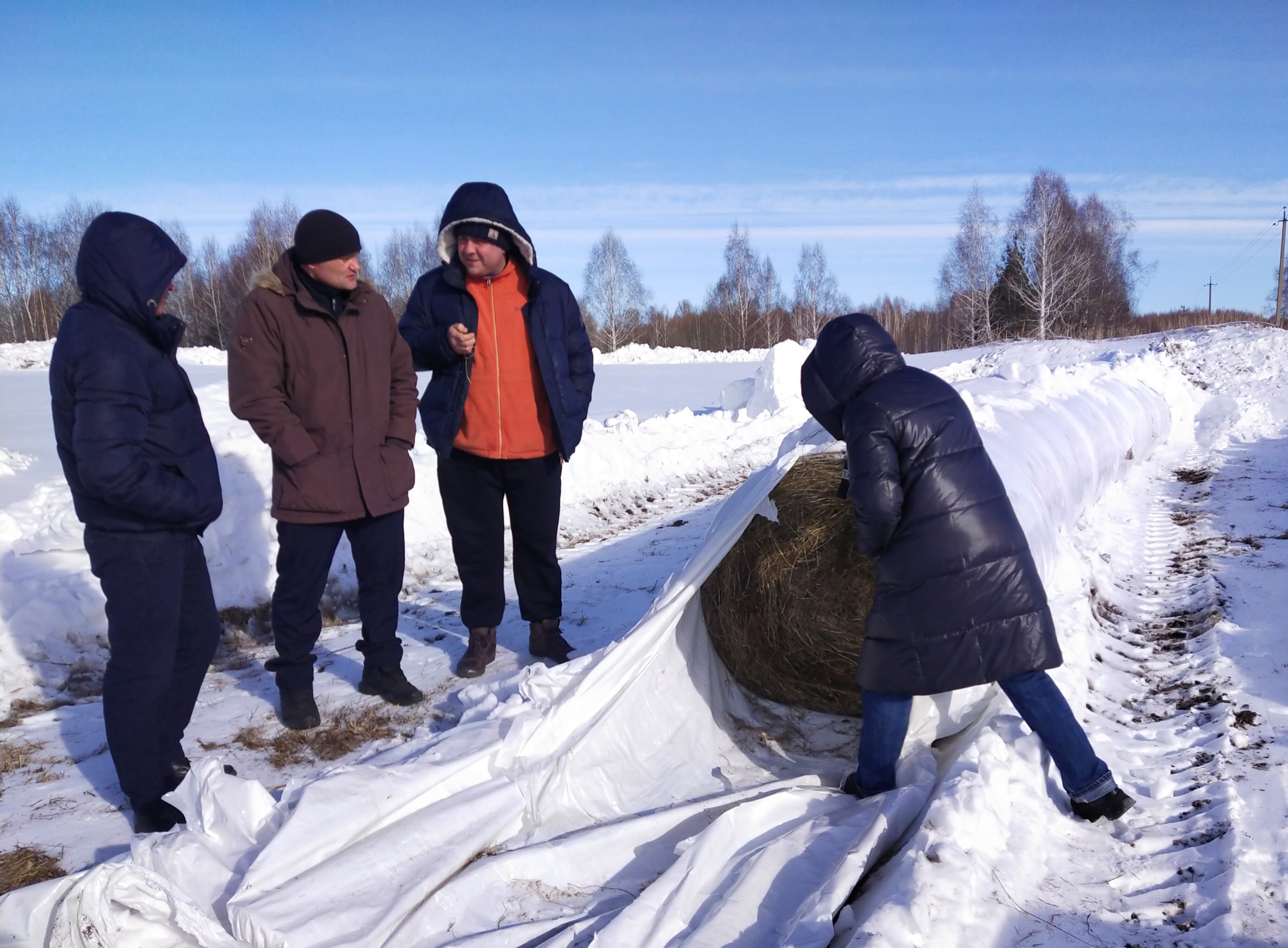 Фермеры изучили опыт ведения сельского хозяйства в Томском районе
