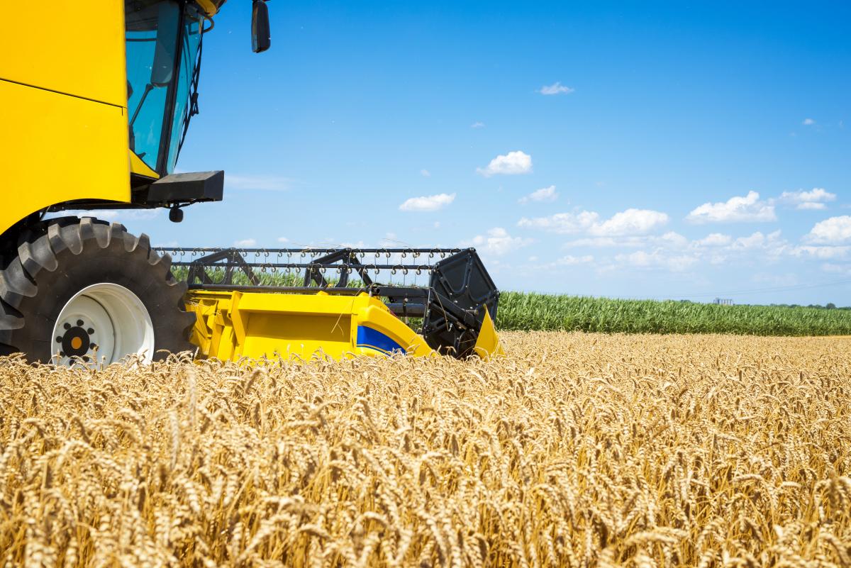 В Удмуртии урожай зерна превысил прошлогодний на 87%
